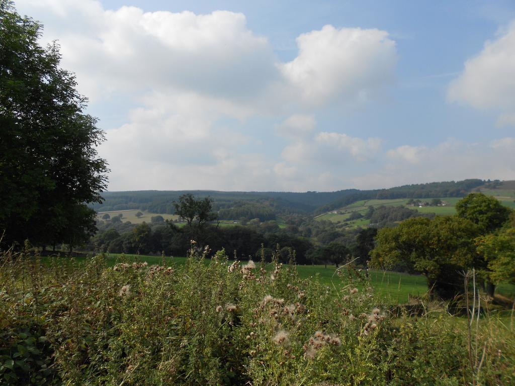 The Shady Oak B&B Whaley Bridge Exterior photo